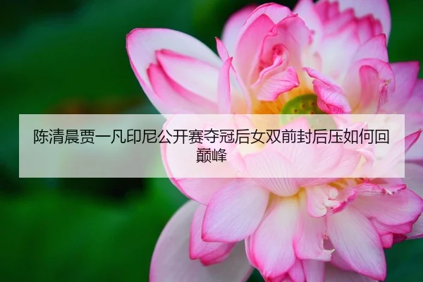 陈清晨贾一凡印尼公开赛夺冠后女双前封后压如何回巅峰
