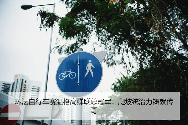 环法自行车赛温格高蝉联总冠军：爬坡统治力铸就传奇
